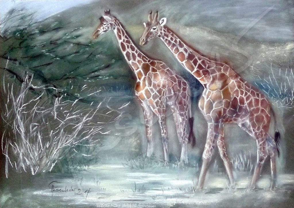 Giraffen