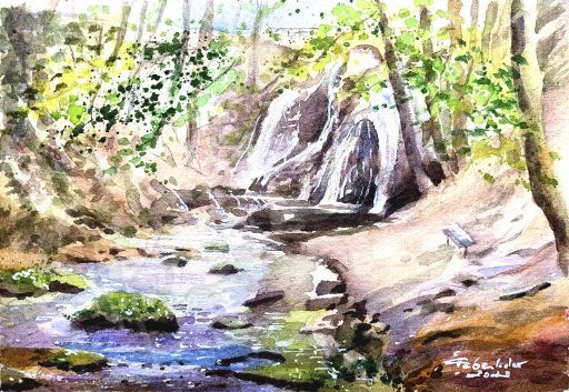 Großbartlöffer Wasserfall