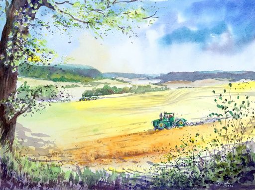 Kornfeld-Nostalgie, Aquarell 2026