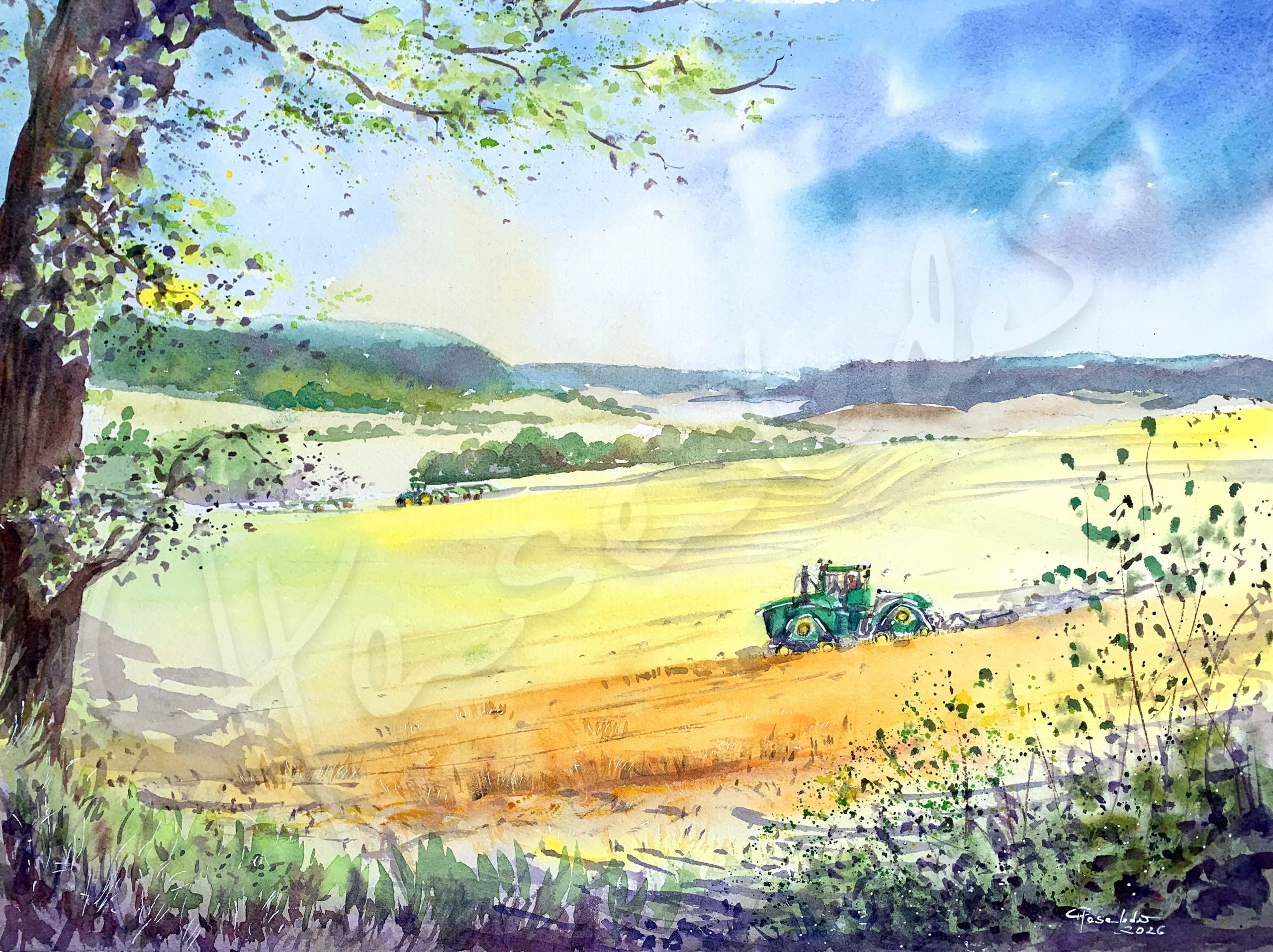 Kornfeld-Nostalgie, Aquarell 2026